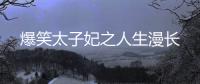 爆笑太子妃之人生