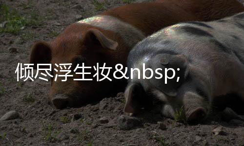 倾尽浮生妆 换他回眸一瞬
