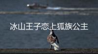 冰山王子恋上狐族