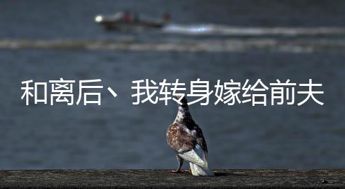 《替嫁随军第一晚，她就住进了医院》全文在线阅读