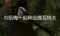 与阮梅一起种出提