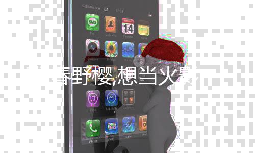 《黄泉快递：亲，记得五星好评哟》全文在线阅读