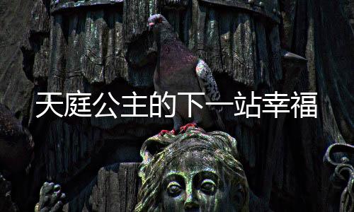 天庭公主的下一站幸福