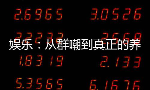 《绑定神豪系统后我成了豪门真千金》全文在线阅读