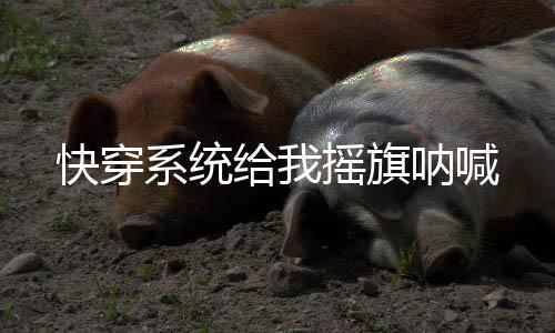 《嫁绝嗣长官，好孕作精在七零躺赢》全文在线阅读