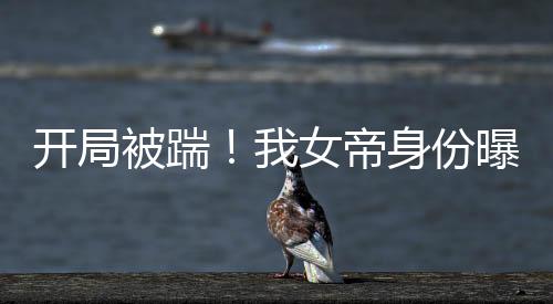 《穿书年代小可怜，奋斗逆袭不炮灰》全文在线阅读