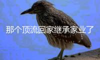 那个顶流回家继承