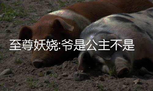 《惊！天降老公竟是首富》全文在线阅读